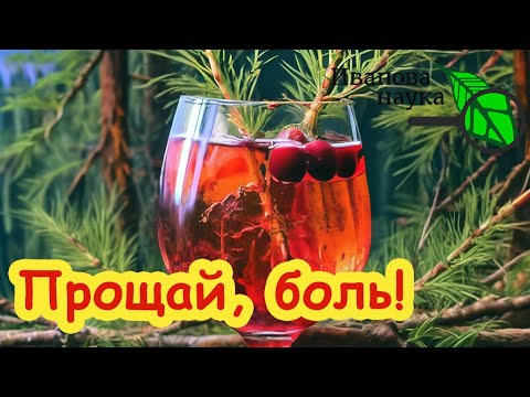 Видео: Боль в коленях и суставах уйдет МОМЕНТАЛЬНО. Принимайте ЭТО по 1 ложке… Мой личный опыт.