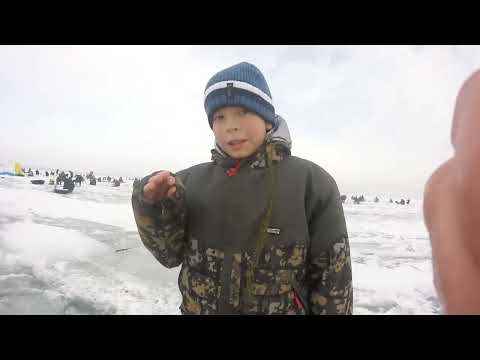 Видео: Зимняя рыбалка на водохранилище Капчагай 2023г.
