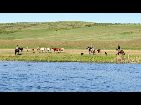 Видео: Ах, ты степь широкая. Русская песня. Обработка Д. Зайцева.