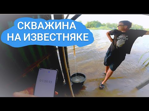 Видео: Абиссинка на известняке