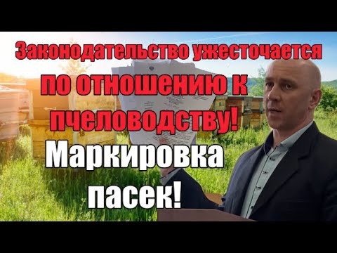 Видео: Маркировка пасек. Права и обязанности пчеловодов…