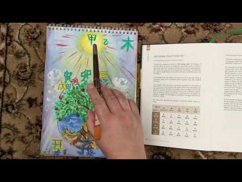 Видео: Что не так с Деревом? Определение силы элемента личности Дерево Ян и Дерево Инь в Ба Цзы