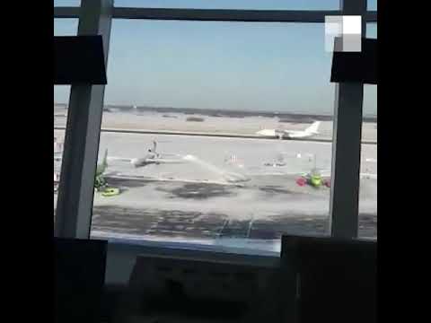 Видео: Новосибирск: диспетчеры Толмачёво обсуждают аварийную посадку самолета