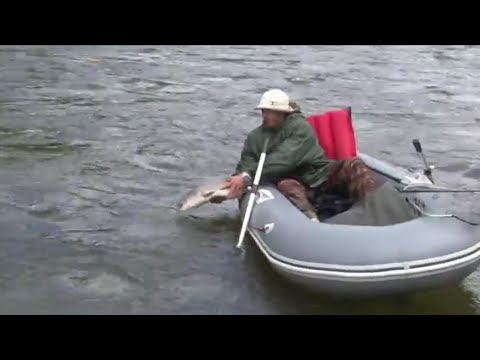 Видео: В Абаканских Тишах. Хариус, ленок, таймень