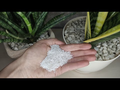 Видео: Перлит для комнатных растений. Достоинства и недостатки перлита. Декорирование вазонов камешками