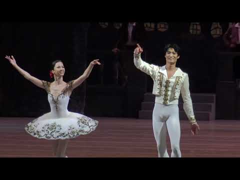 Видео: Renata Shakirova and Kimin Kim in ballet Don Quixote // Рената Шакирова Кимин Ким в балете Дон Кихот