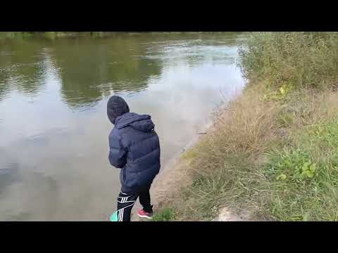 Видео: Рыбалка на Жиздре 🎣.