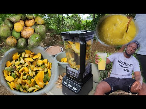 Видео: Слива | манго — фрукты, которые я смешиваю, чтобы сделать этот сок абсолютно освежающим тропическ...