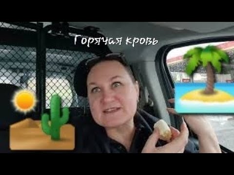 Видео: Пришлый Рыжик. Климат меняется. 