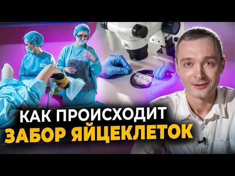 Видео: Как проходит ЭКО. Все этапы в одном видео: стимуляция овуляции, пункция фоликулов, перенос эмбрионов