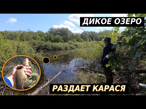 Видео: НАШЁЛ ДИКОЕ ОЗЕРО!!! НАЛОВИЛ КАРАСЯ!!Бешеный Клев карася на Поплавок!