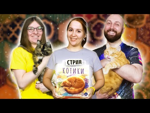 Видео: КОТИКИ / CALICO — летсплей настольной игры в прямом эфире на OMGames