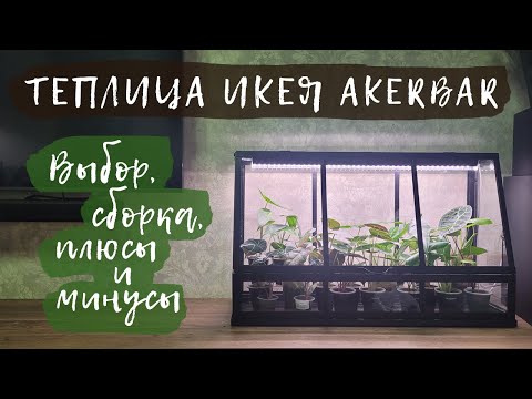 Видео: Теплица ИКЕЯ AKERBAR | Выбор, сборка, плюсы и минусы