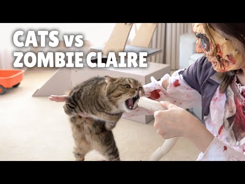 Видео: Кошки Против Веселого Зомби! | Kittisaurus