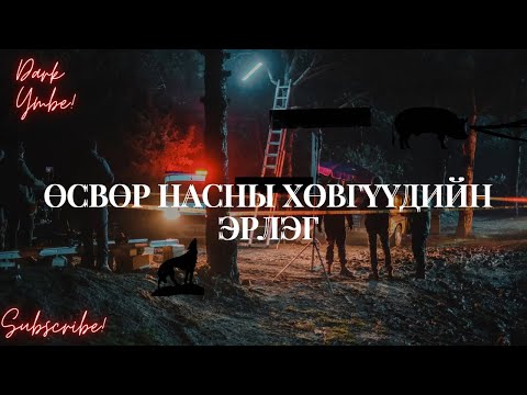 Видео: Өсвөр насны хөвгүүдийн эрлэг