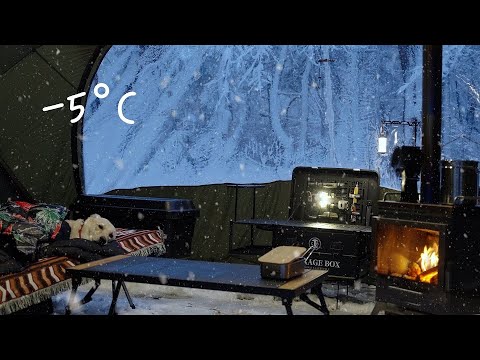 Видео: [Одиночный поход с собакой] Снежная безмятежность: уютный ночной поход в шторм