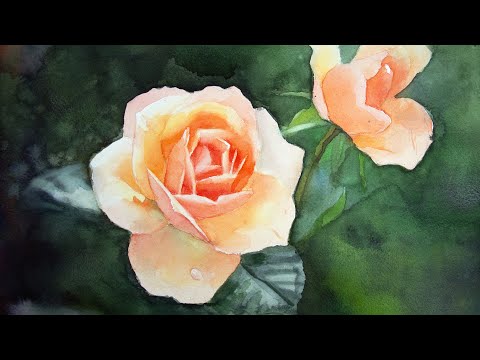Видео: Акварельная живопись роз, подход 1