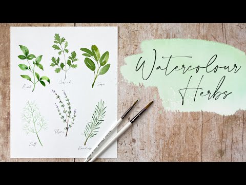 Видео: Как рисовать акварелью травы