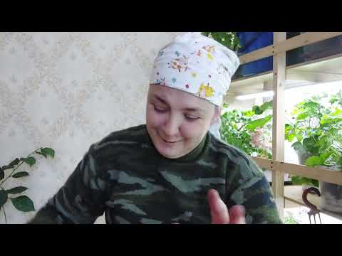 Видео: Эксперимент 1по укоренению обычный питательный грунт против  против пустого торфа с перлитом