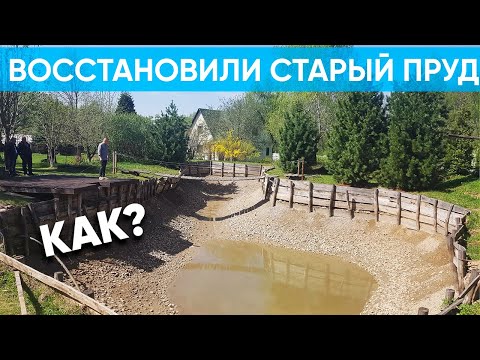 Видео: Как ОЧЕНЬ просто и НЕДОРОГО восстановить пруд и сделать его красивым и прозрачным. #пруд #водоём