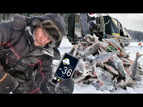 Видео: НЕ ДАЮТ ОПУСТИТЬ! С НОЧЁВКОЙ В ЛОДКЕ В ДУБАК!  !!!