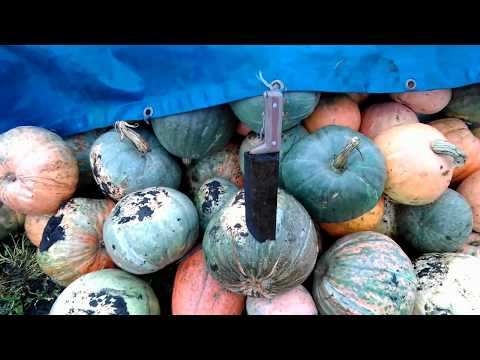 Видео: Делаем электрическую корморезку