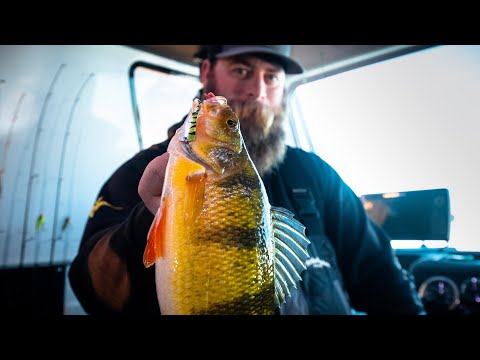 Видео: SnoBear South Dakota Jumbo Perch — подробный обзор на открытом воздухе S17 E6