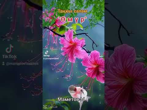 Видео: 2 ноября 2025 г.