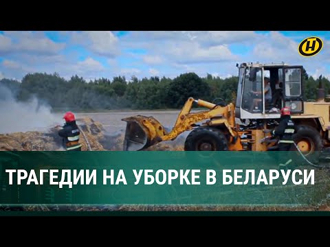 Видео: ЖАТКА КОМБАЙНА РАЗДАВИЛА ПАРНЯ! Опасности сельского хозяйства