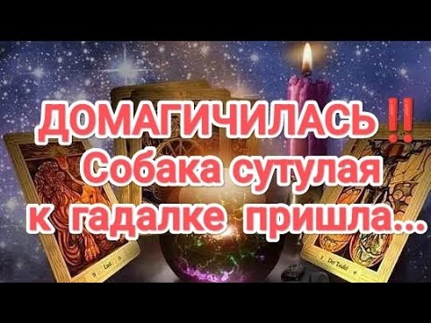 Видео: 🧙‍♀️🕯🔮📿🧿ДОМАГИЧИЛАСЬ‼️ СОБАКА СУТУЛАЯ К ГАДАЛКЕ ПРИШЛА..... #таро #вражинаугадалке#бубноваядама 