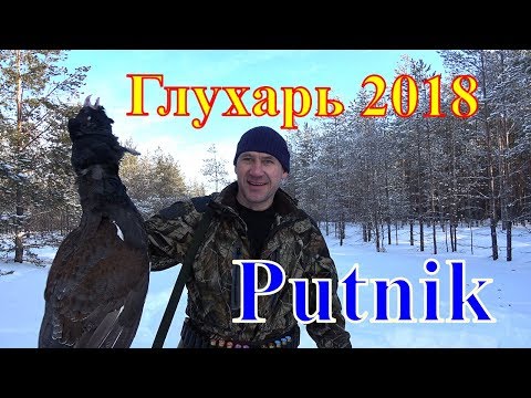 Видео: Глухарь в конце сезона