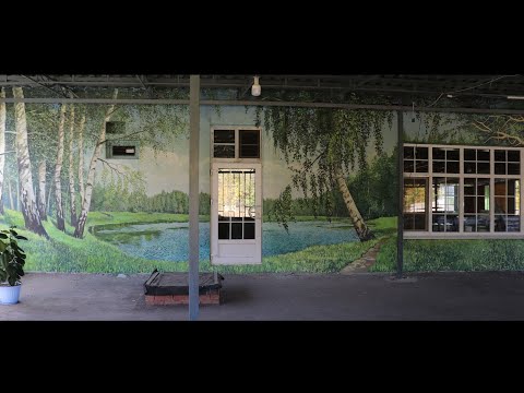 Видео: Роспись стен - берёзовая роща