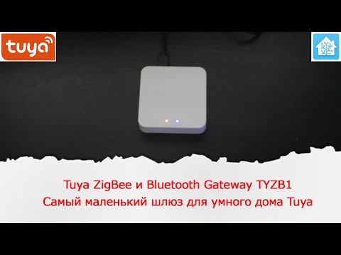 Видео: Наверное самый маленький Zigbee и Bluetooth шлюз для умного дома Tuya TYZB1