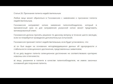 Видео: Кто же находится на самом верхнем уровне поддержки мифа о карачаевской породе лошади?