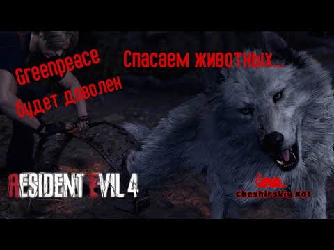 Видео: Сюрпризы в жутком доме ✶ Resident Evil 4 Remake #4