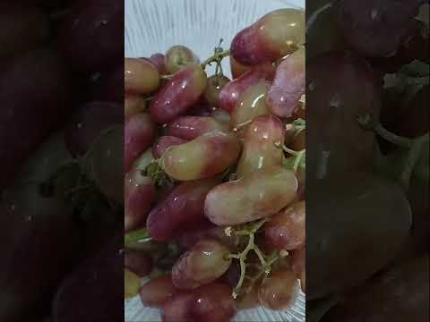 Видео:  АСМР ИТИНГ Хруст винограда | ASMR Grape Crunch