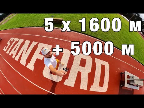 Видео: Беговая тренировка в Стэнфорде #триатлон #калифорния #айронмен