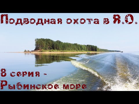 Видео: Подводная охота в Ярославской области. 8 серия - Рыбинское море.