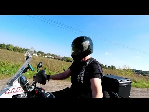 Видео: Социальное программирование! Как тебя направили по не твоему пути, вместе с большинством