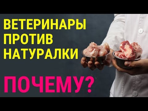 Видео: Натуралка для кошек и собак. Почему ветеринары против? Объясняет Дмитрий Русаков.