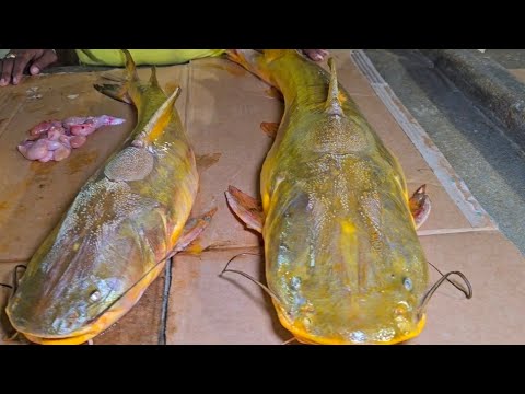 Видео: Рынок в Гайане в пятницу вечером: рыба, выловленная в плотине, крабы и многое другое 🇬🇾🇬🇾