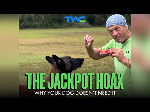 Видео: Мистификация Карен Прайор с джекпотом: почему вашей собаке это не нужно