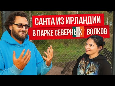 Видео: Долгожданная встреча с ВОЛКАМИ 😱 их познакомил ВОЛК 🐺 