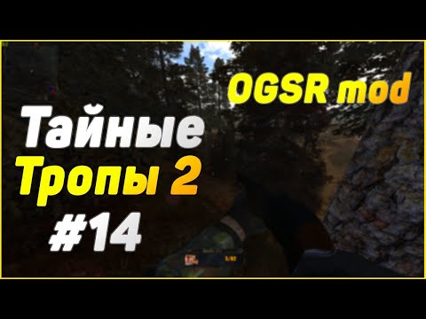 Видео: S.T.A.L.K.E.R. Тайные Тропы 2 OGSR #14 Документы и Оружие для Графа