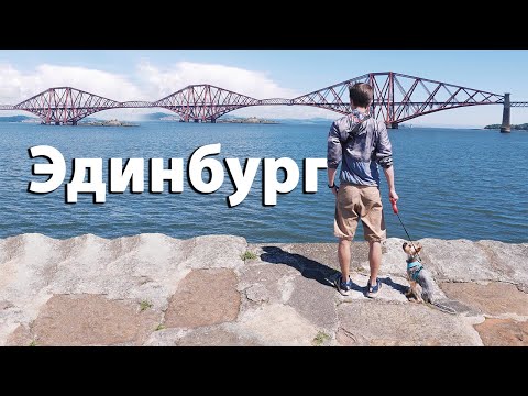 Видео: Эдинбург, Шотландия, #Великобритания / Woof travel (путешествия с собакой)