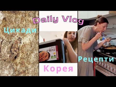 Видео: Лято /Цикади / Рецепти / Нашето корейско ежедневие 