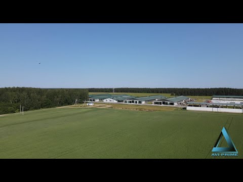 Видео: Молочно-товарный комплекс ОАО "Видомлянское"