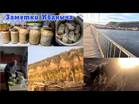 Видео: Работа дома не кончается, голубцы от Иваныча