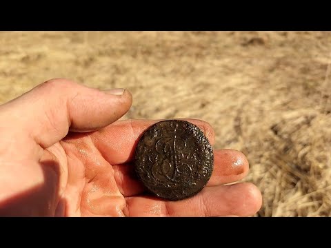 Видео: Как мы искали барский дом. Лесной поиск с Эквинокс 900 #equinox #коп #эквинокс