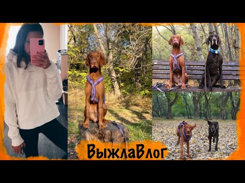 Видео: ВыжлаВлог 10) с опозданием, но пусть будет )